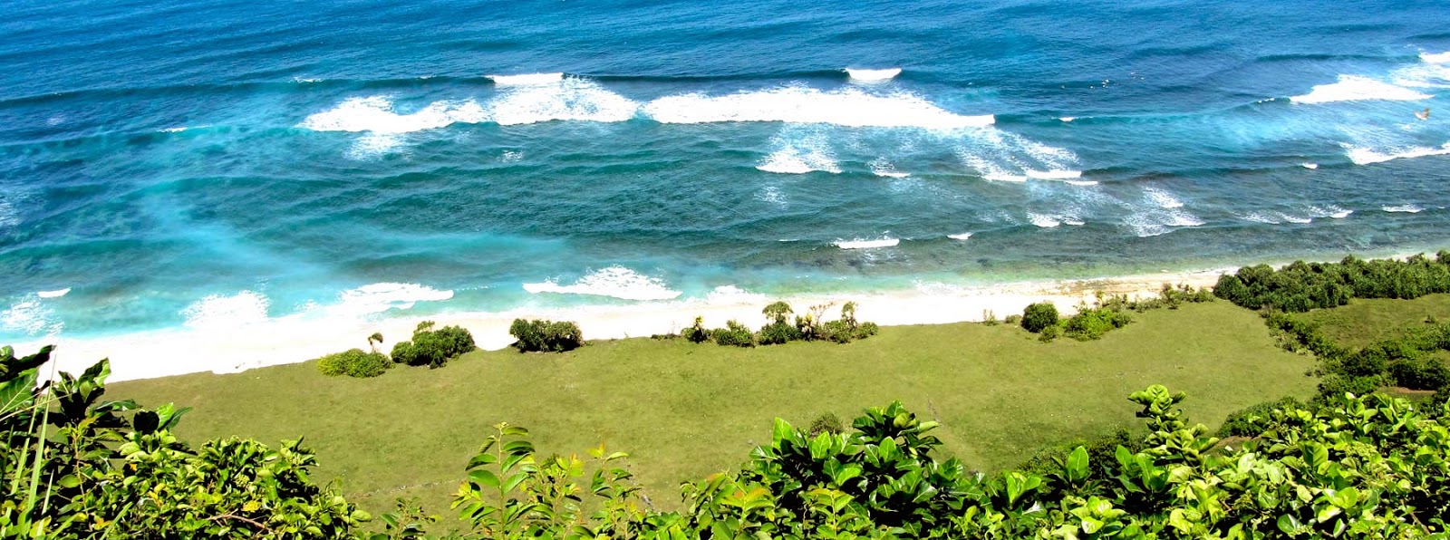 Nyang Nyang Beach - Best Beaches in Bali for Honeymoon,best beaches in bali for honeymoon,best beach resort in bali for honeymoon,best beach to stay in bali for honeymoon,best beaches in bali,bali best beaches,best beaches in bali white sand,best beaches in bali for swimming,best beaches on bali,best swimming beaches in bali,bali best beach club,bali best resorts for couples,bali best resorts for families,bali best beaches map,best beaches in bali to stay,bali best resort for honeymoon,best beaches to visit in bali,best beaches south bali,bali best beaches snorkeling,best beaches in bali map,best beaches in bali for relaxing,bali best beach hotels,best beaches in kuta bali,best beaches in bali for honeymoon,best beaches north bali,best swimming beaches in bali indonesia,bali best western kuta beach,best bali luxury beach resorts,best beaches in bali tripadvisor,three best beaches bali,bali best beaches swimming,best beaches near bali,best beaches in bali lonely planet,best beaches in bali 2015,bali best resorts and hotels,best unspoilt beaches bali,best bali beach accommodation,best bali beach wedding,bali best beaches quiet,best calm beaches in bali,best sand beaches in bali,best beaches in bali and lombok,bali best beach party,bali best beaches for snorkeling,best beaches in bali for families,bali best hidden beaches,bali best beach town,best beaches in bali seminyak,best beaches bali lonely planet,best beaches bali lombok,best bali beach in december,bali best white beaches,best beaches in bali lombok,best clean beaches in bali,bali best beaches things to do,best beaches near ubud bali,best beaches to snorkel in bali,best remote beaches bali,best beaches in bali in march,best beaches northern bali,best beaches bali sanur,bali best beaches resorts,best bali beach location,bali best beaches stay,best beaches near kuta bali,best beaches in bali cnn,best beaches east bali,best romantic beaches in bali,bali best beaches to stay,bali best beach breaks,best bali beaches not for surfers,best untouched beaches in bali,bali the best beaches,bali best beaches tripadvisor,best beaches in lovina bali,bali indonesia best beach hotels,bali seminyak best beaches,best bali beaches indonesia,read bali best beaches,map of best bali beaches,best bali beaches in wet season,best bali beach for families,bali best resort and spa,best bali beach bungalows,best bali beach huts,best bali family beach resorts,bali best beach to swim,bali best beaches for swimming,bali best beach bars,best beaches at bali,bali best beaches surf,bali best secluded beach,best beaches east coast bali,best beaches in bali for beginner surfers,best beaches to relax in bali,bali best beach in the world,bali best sunset beach,best bali beaches in january,bali best beach area,best private beaches bali,bali best beach villas,best beaches west coast bali,best beaches in bali in november,bali best beaches to surf,best beaches around bali,best secret beaches bali,bali best beaches reviews,bali best beach restaurant,bali best beach white sand,best beaches bali nusa dua,tripadvisor best beaches in bali,bali best beach for surfing,best beaches in bali for surfing,best bali beaches in february,best beaches bukit bali,best bali beach holidays,bali best beaches honeymoon,best beaches in bali for swimming,best beaches in bali indonesia,best beaches in bali for surfing,best beaches in bali for honeymoon,best beaches in bali in december,best beaches in bali for snorkeling,best beaches in bali for families,best beaches in bali tripadvisor,best beaches in bali and lombok,best beaches in bali seminyak,best beaches in bali in november,best beaches in bali 2015,best beaches in bali lonely planet,best beaches in bali 2016,best beaches in bali 2017,best beaches in bali sanur,best beaches in bali island,best beach in amed bali,best beach bali august,best beaches in and around bali,best beaches at bali,best beach area bali,best beach accommodation bali,best beach near bali airport,best beach activities in bali,tripadvisor best beaches in bali,best beaches to stay at in bali,where are the best swimming beaches in bali,best beaches in bali for beginner surfers,best beaches bukit bali,best beach bars bali,best beach bungalows bali,best beach breaks bali,best beaches in bali cnn,best beach in bali crete,best beach in bali for couples,best beach club bali,best calm beaches in bali,best clean beaches in bali,best beaches east coast bali,best clear beach in bali,best beaches west coast bali,best beach city in bali,best beach in bali december,best beach in bali nusa dua,best beach destination bali,best beach dining bali,best beach dinner bali,best beaches in east bali,best beach bali east coast,best beaches in bali for relaxing,best beach for watersports in bali,best beach in bali for sunset,best snorkeling beach bali,best beach resort in bali for honeymoon,best beach in bali in february,best beach to stay in bali for honeymoon,best beaches to go in bali,best beach bali hotels,best beach huts bali,best beach holiday bali,best beach hotel bali tripadvisor,best hidden beaches in bali,best beach hotels in bali indonesia,best beachfront hotel bali,best beach view hotel bali,best beach luxury hotel bali,best swimming beaches in bali indonesia,best beach resort in bali indonesia,best beaches in bali in january,best beaches in bali in march,best beaches i bali,best beach in bali in october,best beach in bali in july,best beach in bali kuta,best beach resort in kuta bali,best beaches near kuta bali,best beaches in bali lombok,best beaches in lovina bali,best beach in bali to learn to surf,best beach location bali,list of best beaches in bali,best beaches in bali map,best beach massage in bali,best beaches in north bali,best beaches in northern bali,best beaches near bali,best non touristy beaches in bali,best beaches on bali,best beach area of bali,best beaches to stay on in bali,best beach party bali,best private beaches in bali,best beach places in bali,best quiet beaches in bali,best beach bali resort,best beach restaurant bali,best beach resort bali indonesia,best romantic beaches in bali,best remote beaches in bali,best beachfront resort bali,best beaches in south bali,best beaches in sanur bali,best beaches in southern bali,best beaches in bali surf,best beaches in bali white sand,best beaches in bali to stay,best sand beaches in bali,best sunbathing beaches in bali,best beaches in bali to swim,best beaches in bali to surf,best beaches in the bali,best beach towns bali,the best beaches in bali indonesia,top best beaches in bali,bali best beach in the world,best beaches to visit in bali,top 10 best beaches in bali,best beaches to snorkel in bali,best beaches to relax in bali,best beach in uluwatu bali,best unspoilt beaches in bali,best untouched beaches in bali,best beaches near ubud bali,best beach villa bali,best beach view in bali,best beach vacation in bali,best virgin beach in bali,best beachfront villa in bali,best beaches bali wet season,best beaches in the world bali,best beach wedding bali,best beach west bali,best white beaches in bali,best white sandy beaches in bali,best beach yoga bali,bali best beaches map,bali best time to visit,best bali beaches to stay,best area in bali,most beautiful beaches in bali,white sand beaches in bali,what part of bali is the best,geger beach bali