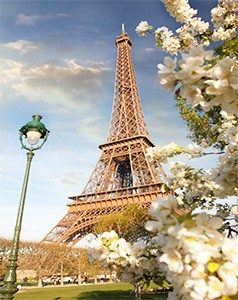Citymoon - Honeymoon Dreams - Paris