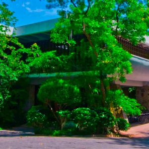 Sri Lanka Honeymoon Packages Grand Udawalawe Safari Resort Gallery 3