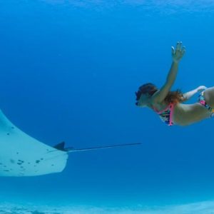 Maldives Honeymoon Packages Emerald Resort & Spa Diving With Marine Life