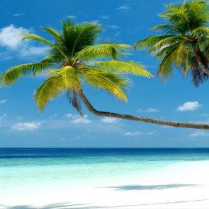 Maldives Honeymoon Packages Mercure Maldives Kooddoo Resort Beach