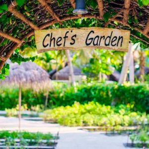 Maldives Honeymoons Anantara Dhigu Maldives Resort Chef's Garden