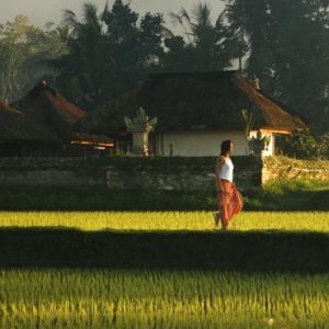 Bali Honeymoon Packages Kayumanis Ubud Exploring Rice Paddies