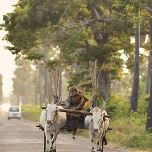 Sri Lanka Honeymoon Packages Jetwing Sea Location