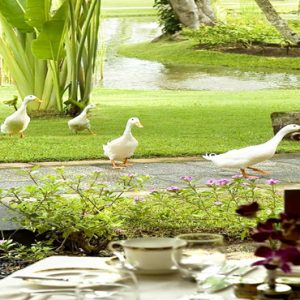 Bali Honeymoon Packages Nusa Dua Beach Hotel & Spa Garden View