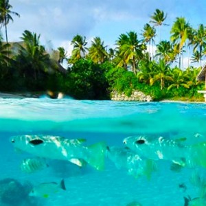 Lagoonarium - InterContinental Bora Bora Resort and Thalasso Spa - Luxury Bora Bora honeymoon Packages