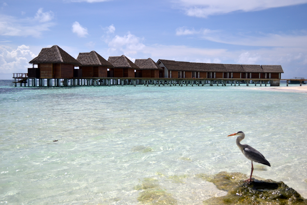 Water-villas-kandolhu-island-maldives