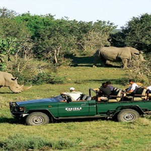 Kariega Game Reserve - Luxury South Africa Honeymoon Packages - Game drive viewing rhino