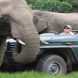 Kariega Game Reserve - Luxury South Africa Honeymoon Packages - Safari