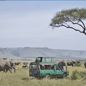 Mara Serena Lodge - Kenya Safari Honeymoon - Thumbnail