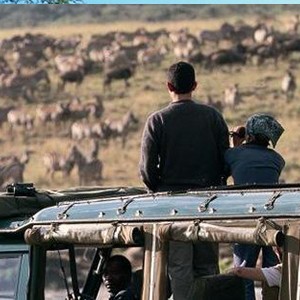 Mara Serena Lodge - Kenya Safari Honeymoon - safari