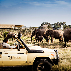 Segera Retreat - Kenya safari honeymoon - thumbnail