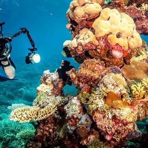 Coral Reefs Ayada Maldives Maldives Honeymoon Packages