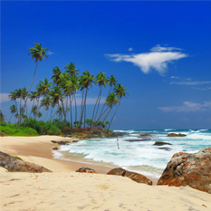 sri lanka Honeymoon Packages - thumbnail