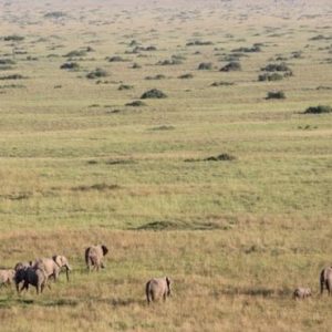 South Africa Honeymoon Packages Governors Camp, Kenya Views Of Masai Mara From Above