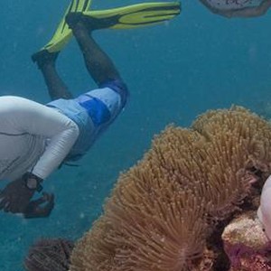 honeymoon packages - Maldives - Dusit Thani - Snorkelling