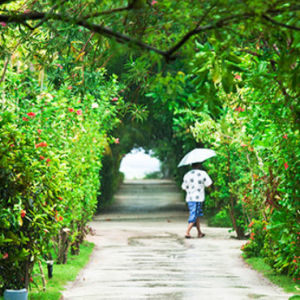 Adaaran Select Hudhuranfushi Maldives Honeymoon Packages Pathway