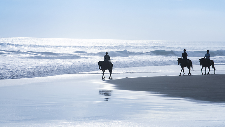 Bali Honeymoon Ideas - Horse Riding