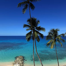 saint peter's bay - barbados honeymoon packages - thumbnail