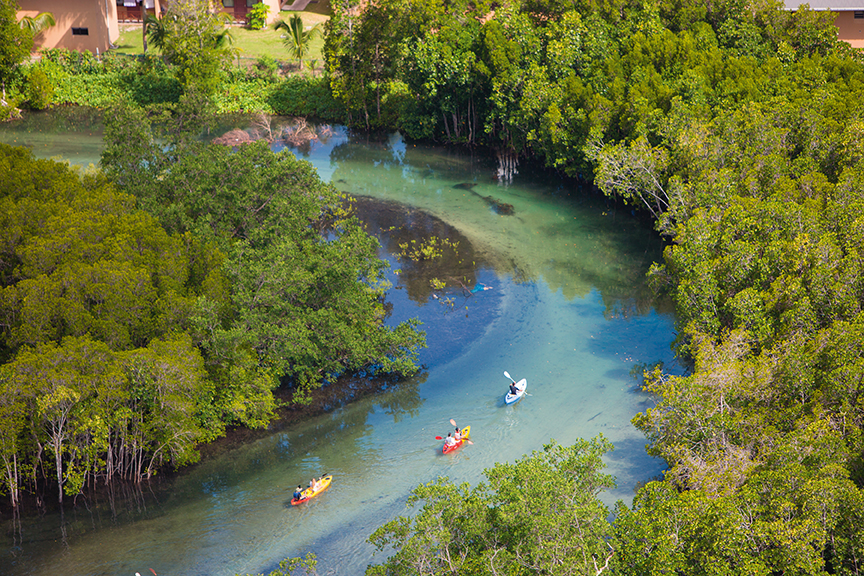 Mauritius Vs. Seychelles for your Honeymoon - activities