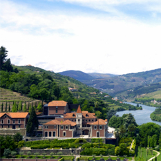 six senses douro velley - luxury portugal honeymoons - thumbnail