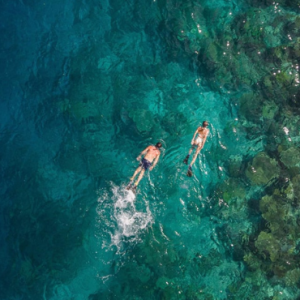 NH Collection Maldives Havodda Resort Maldives Honeymoon Packages Snorkelling