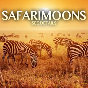 safarimoons