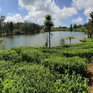 lake view - Bubble Lodge Mauritius - Luxury Mauritius Honeymoon Packages