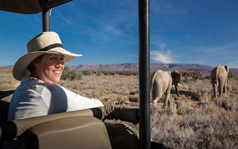 Safari1 Day Safari In Cape Town South Africa Honeymoons