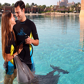 Thumbnail Atlantis Dolphin Encounter At Dolphin Bay Dubai Honeymoons