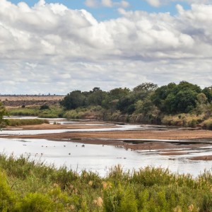 sabie river