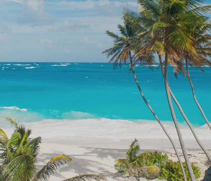 a picture of Barbados
