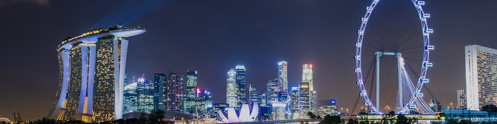 singapore honeymoon header