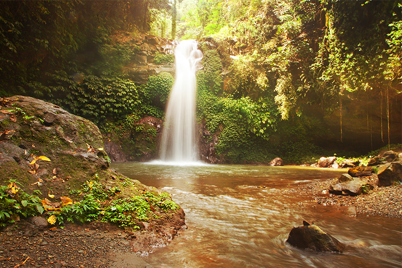 Bedugul and Singaraja Bali tour - Waterfalls