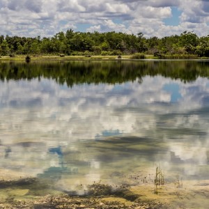 Florida-Everglades-Airboat-Adventure