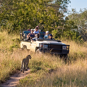 Full Day Kruger National Park Open Vehicle Game Drive - Thumbnail