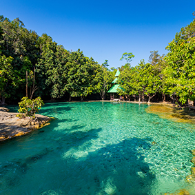 Krabi Rainforest Discovery - Thailand Honeymoons - Thumbnail