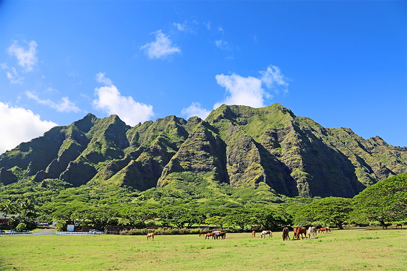 A guide to your Hawaii Honeymoon - Hawaii honeymoon - Oahu