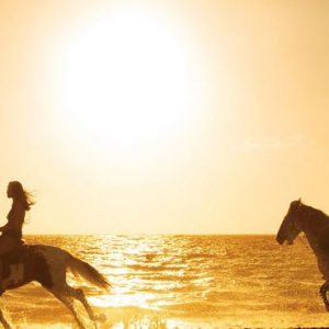 Dominican Republic Honeymoon Packages Secrets Royal Beach Punta Cana Horses