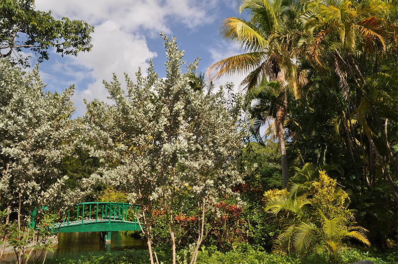 How to choose the best Carribean Island for your honeymoon - Caribbean honeymoons - Garden Groves