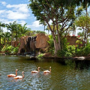 Hawaii Honeymoon Packages Westin Maui Resort And Spa Lagoon