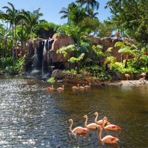 Hawaii Honeymoon Packages Westin Maui Resort And Spa Lagoon 4