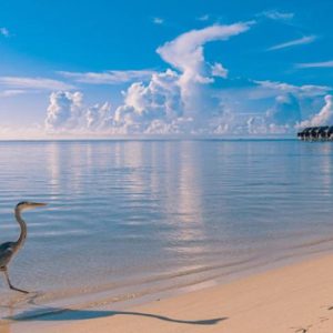 Maldives Honeymoon Packages Sun Siyam Olhuveli Beach View