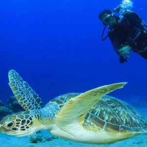 Maldives Honeymoon Packages Sun Siyam Olhuveli Scuba Diving