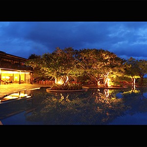 cinnamon wild yala-sri lanka honeymoon packages-night pool