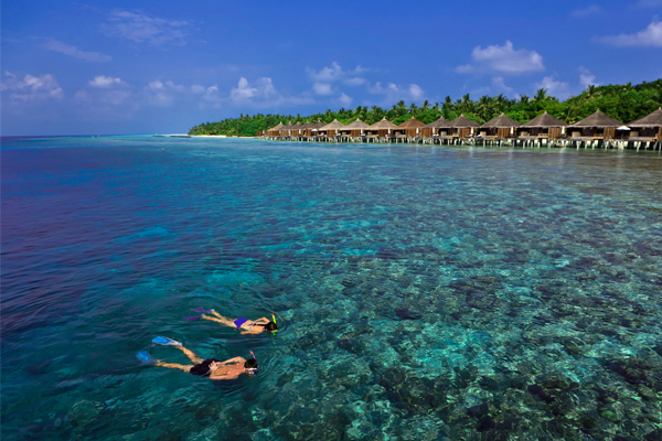 snorkeling - Sam and Michelle Takeaway wedding - the Honeymoon - Luxury Maldives Honeymoons