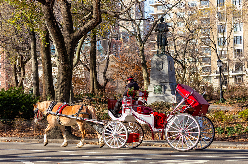 Horse-and-Carriage-Central-Park-new-york-city---Romantic-things-to-do-in-New-York-