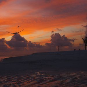 Sunset On The Beach Dhigufaru Island Resort Maldives Honeymoons