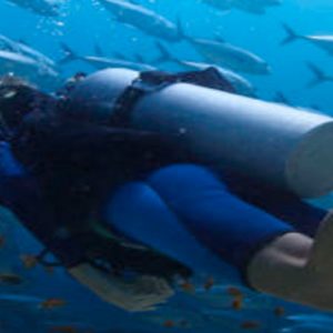 Maldives Honeymoon Packages Furaveri Island Maldives Scuba Diving