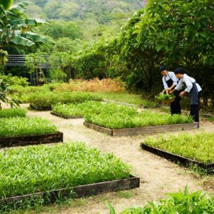 Vietnam Honeymoon Packages Six Senses Ninh Van Bay Garden